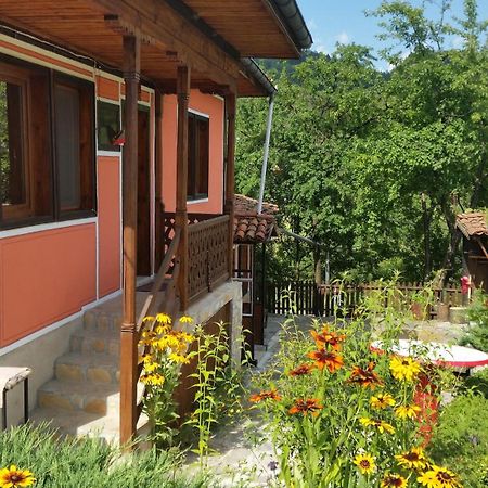 Mechta Guest House Koprivshtitsa Luaran gambar